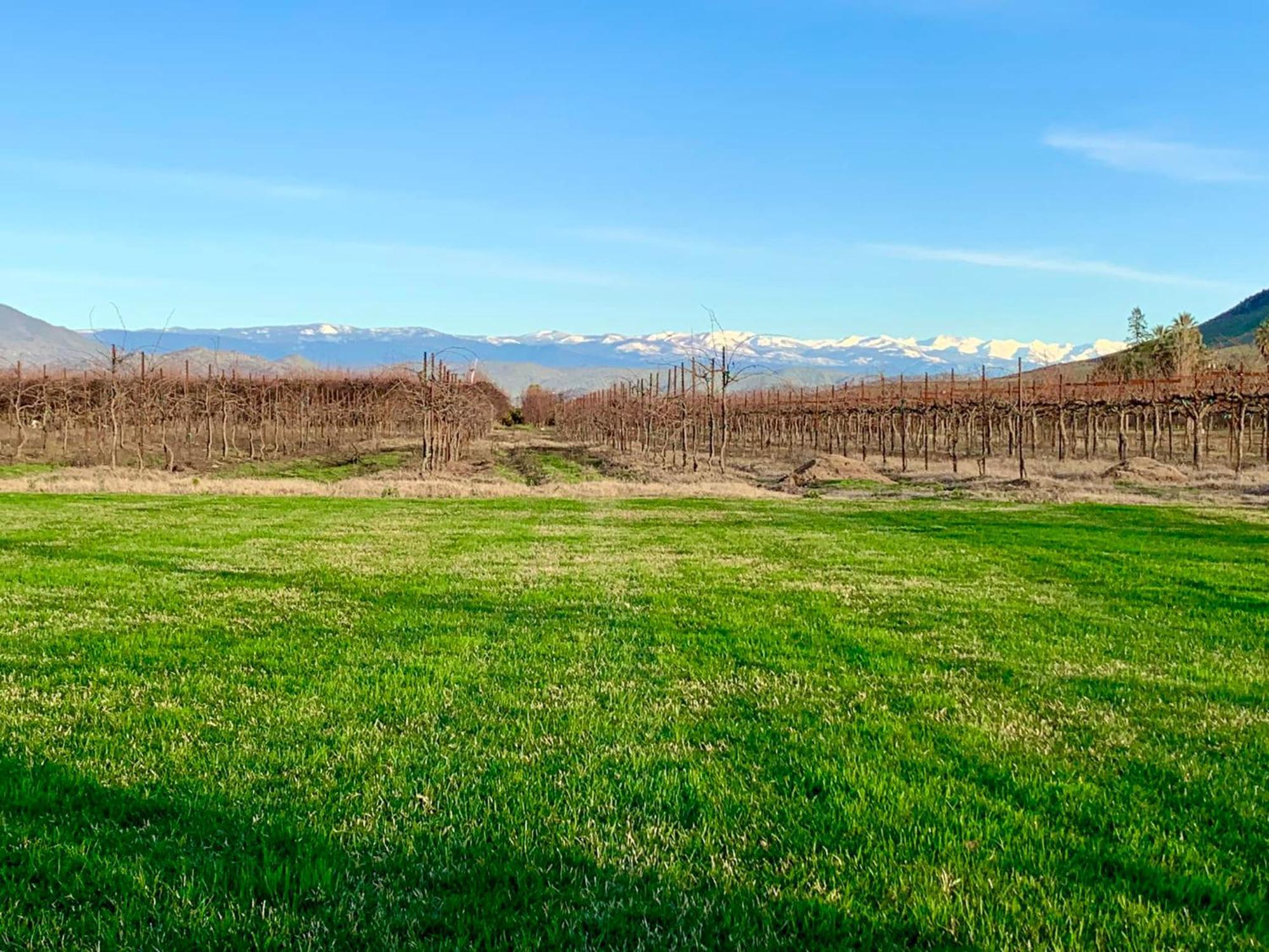 Sequoia View Vineyard Bed & Breakfast Sanger Exterior photo